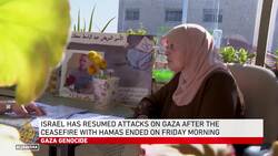 Palestinian prisoners: families' hopes fade after fighting resumes. News Clip