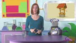 How Does Water Get to Your House? Instructional Video