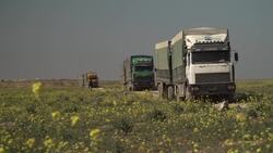 Civilians leave last IS enclave in eastern Syria Instructional Video