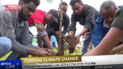 The Story Behind... trees and climate change Instructional Video