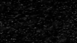 Fast Blizzard Snow Storm Gale Force Extreme Weather Motion Blur Strong Side Wind Seamless. Looped 3d Animation. Alpha Matte. Stock Footage