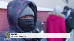 New York city migrant crisis: City sues companies transporting migrants from Texas News Clip