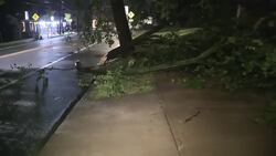 Tuesday's storm takes out trees, closes roads in Madison, Morris County Instructional Video