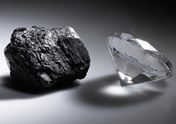 The Elements: Carbon Instructional Video