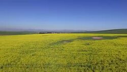 AERIAL farm land/ Philadelphia/ South Africa Stock Footage
