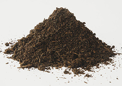 What do plants need? Instructional Video