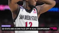 LSU Wins 1st NCAA Title, Beating Iowa News Clip