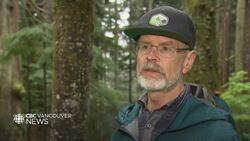 New park in West Vancouver surpasses the size of Stanley Park News Clip