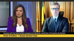 Ukraine fears concessions in diplomatic talks will come at its expense, says Ambassador News Clip