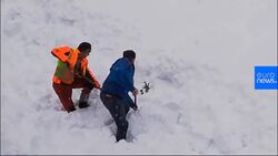 Watch: Austrian train workers rescue chamois buried in snow News Clip
