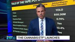 The Cannabis ETF Offers a ‘Pure Play’ on the Industry News Clip