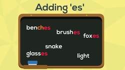 Spelling Rules | Adding 'es' to Words Instructional Video