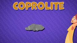 High Five Facts - Fossils Instructional Video