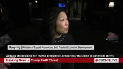 Liberals strategizing for Trump presidency, preparing retaliation to potential tariffs News Clip