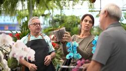 Family shop for plants with Salesman at Flower Market Stock Footage