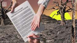 Can we save the world’s forests? Instructional Video