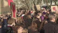 Pirate Party surges in Iceland ahead of Parliamentary election News Clip