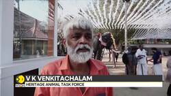 India turns to mechanical elephants for ethical ceremonies News Clip