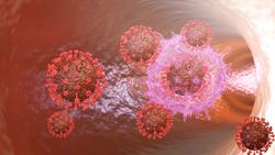 The Delta variant is becoming the dominant strain of COVID-19 Instructional Video