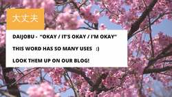 Top 5 Japanese Phrases Instructional Video