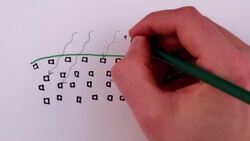 Why Are Leaves Green? Part 2 Instructional Video