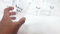 Solubility Science – STEM Activity Instructional Video