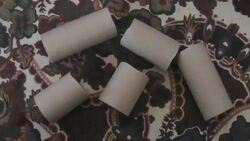How to Recycle Paper Towel Rolls Instructional Video