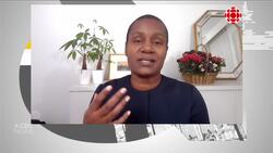 'Canadians are ready for an ambitious plan': Green Party leader says new climate measures missing key elements News Clip