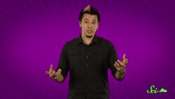 Why Do Birds Have White And Dark Meat? (And Do We?) Instructional Video