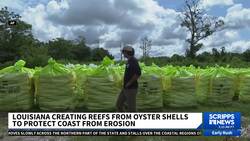 Louisiana sees shells as more than just dinner waste News Clip