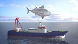 How China is weaponizing its fishing fleet Instructional Video