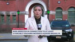 Vinegar Hill man arrested in connection to string of forcible touching incidents News Clip