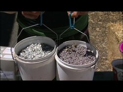 Raising Backyard Chickens - Supplements For Good Nutrition and More Instructional Video