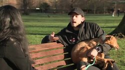 Sharp increase of dogs abandoned during pandemic News Clip