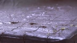 CLEAN : Eating, washing and praying: daily life on board the Charles de Gaulle News Clip