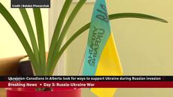 Ukrainian Canadians offer support as Russian invasion escalates News Clip