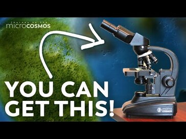 BONUS VIDEO: The Microcosmos Microscope