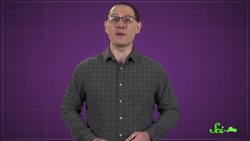 No Ears, No Problem: Frogs Can Hear With Their Lungs Instructional Video