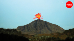 Rocks could save the world (Yes, rocks) | Elise Cutts Instructional Video