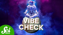 The Universe Runs on Vibes Instructional Video