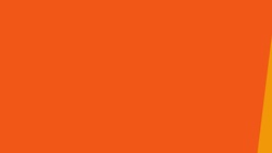 Five Facts - Reptiles Instructional Video