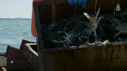 Preserving the Ocracoke Brogue, a fading dialect on a North Carolina island Instructional Video