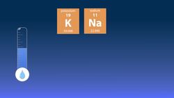 The Urinary System - An Introduction Instructional Video