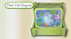 Photosynthesis Instructional Video