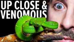 24 HR Snake Hunt - The Clock is Ticking! Instructional Video