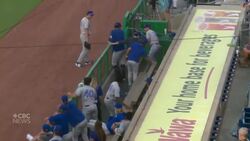 #TheMoment a Florida 'bat dog' made its mark on the baseball field Instructional Video