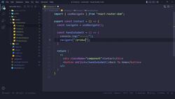 React JS Masterclass - Go From Zero To Job Ready - Navigation / 056 Instructional Video
