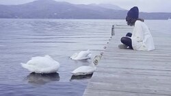 Asian tourist woman sitting with swan at Lake Kawaguchi Stock Footage