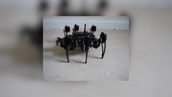 Largest rideable six legged robot Instructional Video