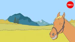 TED-Ed: How horses changed history | William T. Taylor Instructional Video